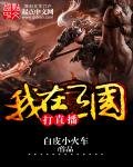 《我在三国打直播》