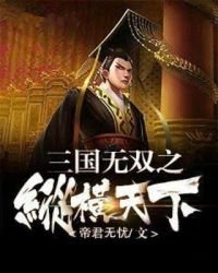 《三国无双之纵横天下》