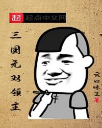 《三国无双领主》