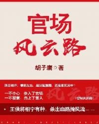 《官场风云路》
