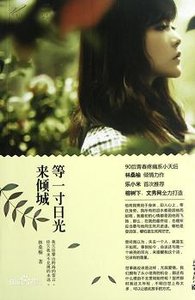 《等一寸泄光来倾城》