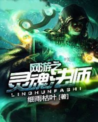 《网游之灵魂法师》