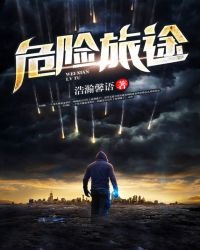 《危险旅途》