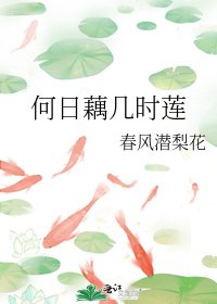 何日藕几时莲
