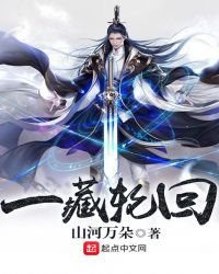 《一藏轮回》