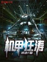 《机甲狂涛》