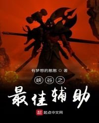 《峡谷之最佳辅助》