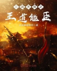 《三国无双之王道能臣》