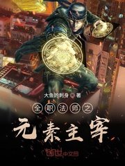 《全职法师之元素主宰》