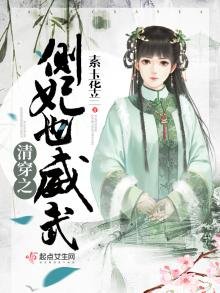 《清穿之侧妃也威武》