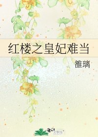 红楼之皇妃难当