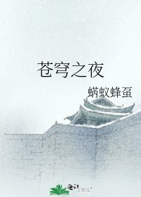 苍穹之夜