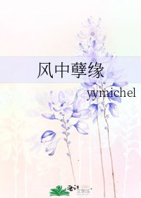 风中孽缘