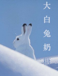 《小白兔奶糖》