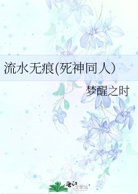 《流水无痕(死神同人)》