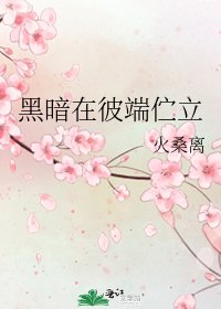 黑暗在彼端伫立