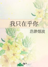 我只在乎你