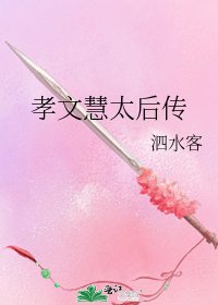 孝文慧太后传