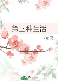 第三种生活