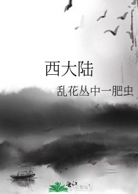 西大陆