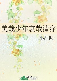 美哉少年哀哉清穿