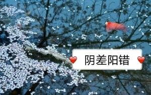 《翻差阳错》
