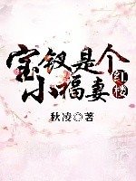 （红楼同人）宝钗是个小福妻[红楼]