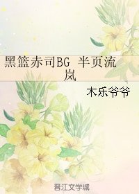（BG/黑篮赤司）半页流岚