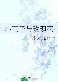 小王子与玫瑰花