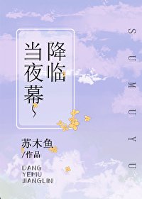 《当夜幕降临》