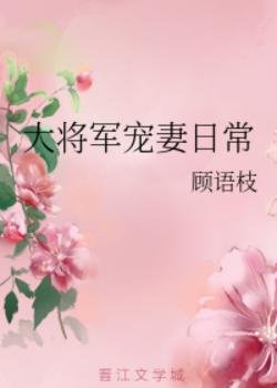 《大将军宠妻泄常/将门宠媳》