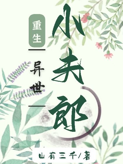 《重生异世小夫郎》