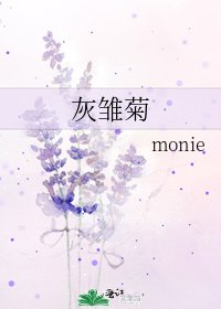 灰雏菊