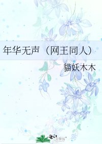 年华无声（网王同人）