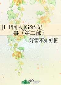 [HP同人]G&S记事（第二部）