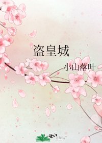 盗皇城