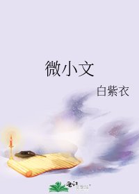 微小文