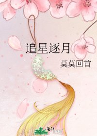 追星逐月
