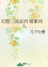 幻想三国志四 楼紫同人