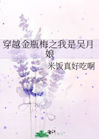 穿越金瓶梅之我是吴月娘