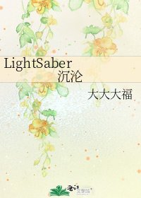 LightSaber沉沦