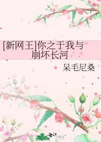 [新网王]你之于我与崩坏长河