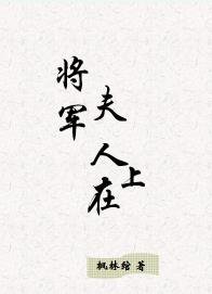 将军夫人在上