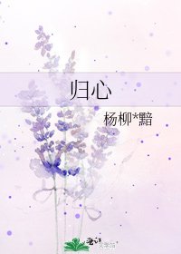 归心