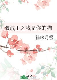 《海贼王之我是你的猫》