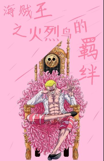 海贼王之火烈鸟的羁绊