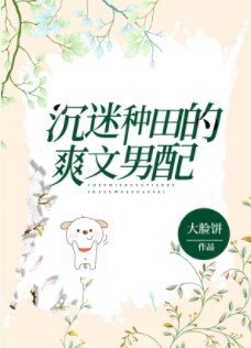 《沉迷种田的爽文男配》