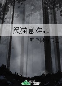 鼠猫意难忘