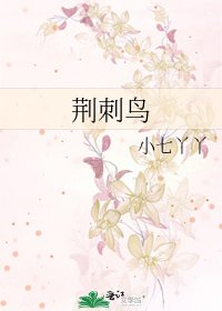 荆刺鸟