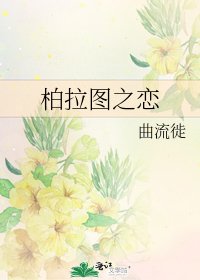 柏拉图之恋